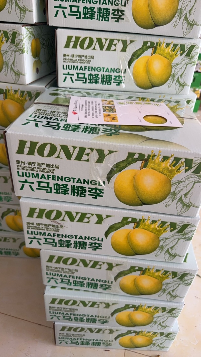 贵州六马马蜂糖李