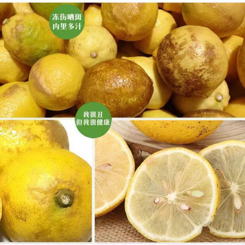 四川资阳安岳县直发正宗安岳柠蒙丑果可榨汁各种规格齐全