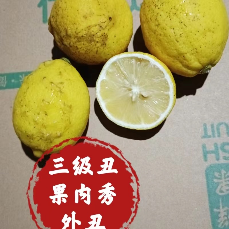 四川资阳安岳县直发正宗安岳柠蒙丑果可榨汁各种规格齐全