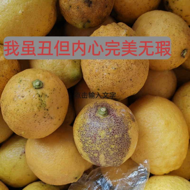 四川资阳安岳县直发正宗安岳柠蒙丑果可榨汁各种规格齐全