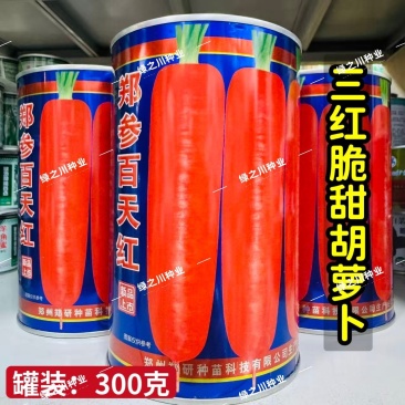 郑参百天红胡萝卜种子高产脆甜三红胡萝卜种籽七寸胡萝卜种子