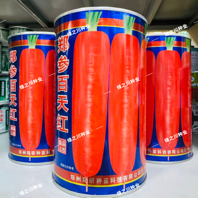 郑参百天红胡萝卜种子高产脆甜三红胡萝卜种籽七寸胡萝卜种子