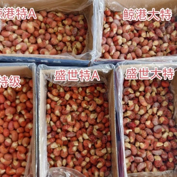 龙虾尾纯干无冰/包冰/各规格/可定制