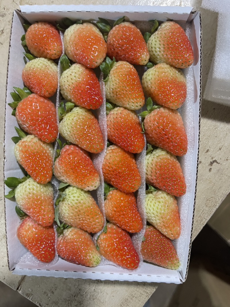 云南新鲜商用蒙特瑞,整箱现摘,冰糖葫芦奶茶果酱专用