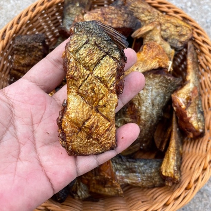 白鱼块干烟熏烘干白鲢鱼块有盐