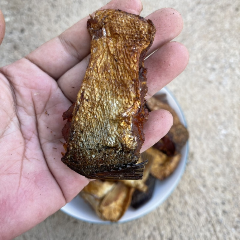 白鱼块干烟熏烘干白鲢鱼块有盐