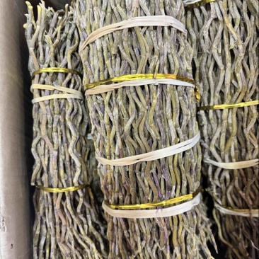 石斛中药材正宗铁皮石斛干条扎条散条枫斗大货正品非紫皮水草