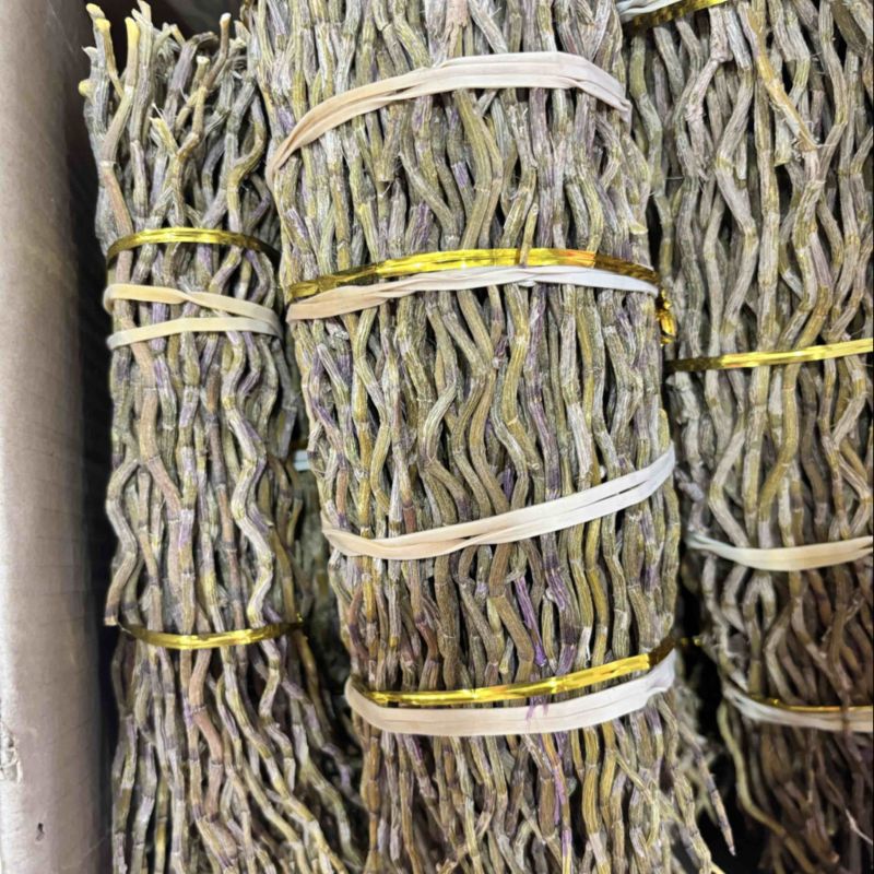 石斛中药材正宗铁皮石斛干条扎条散条枫斗大货正品非紫皮水草