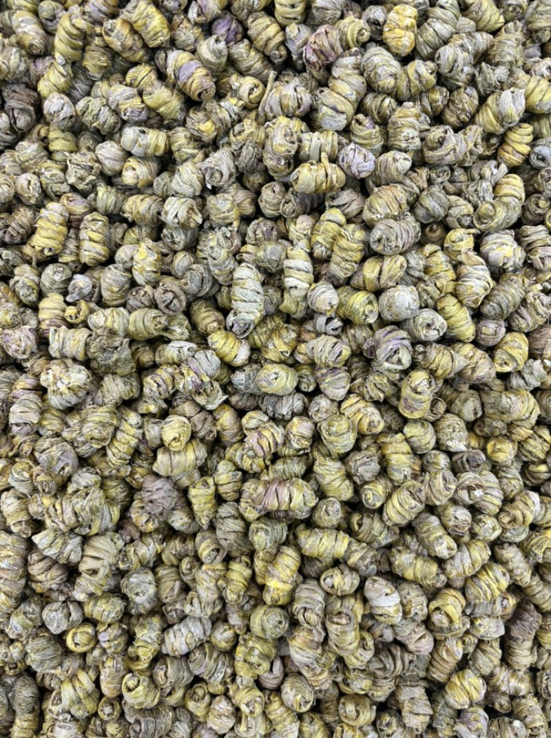 石斛中药材正宗铁皮石斛干条扎条散条枫斗大货正品非紫皮水草