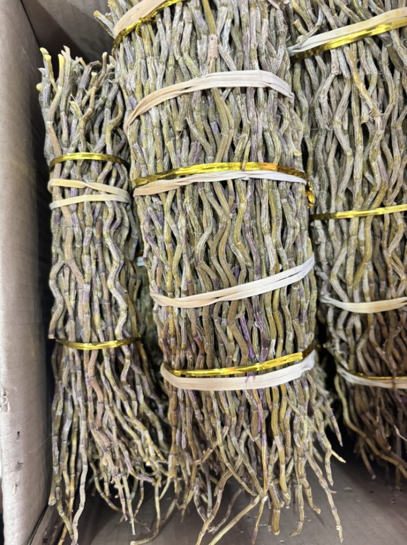 石斛中药材正宗铁皮石斛干条扎条散条枫斗大货正品非紫皮水草