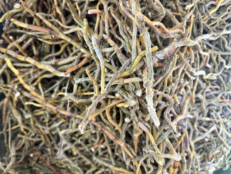 石斛中药材正宗铁皮石斛干条扎条散条枫斗大货正品非紫皮水草