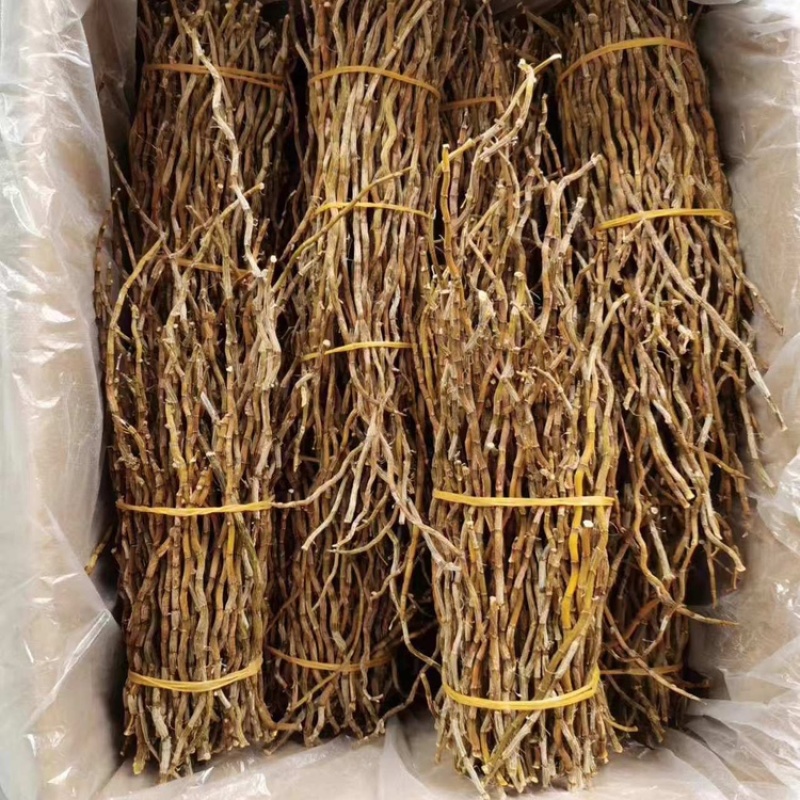 石斛中药材正宗铁皮石斛干条扎条散条枫斗大货正品非紫皮水草
