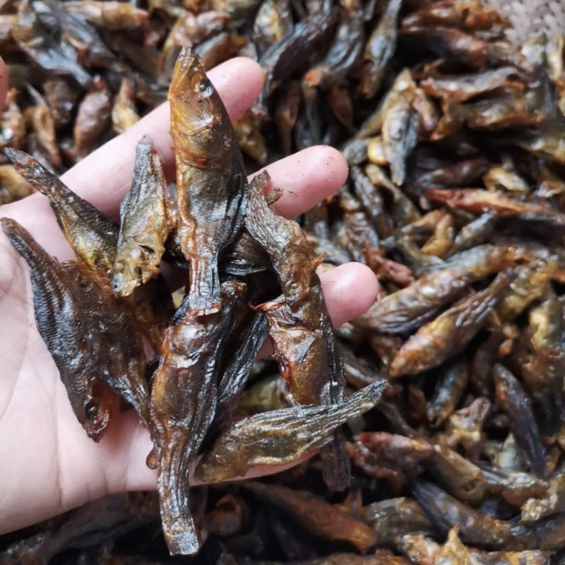 老头鱼干呆子鱼干烟熏烘干轻微烟味有盐干度好