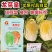 豫艺龙芽皇白菜种子优质礼品白菜种籽内叶桔红大白菜种子秋季