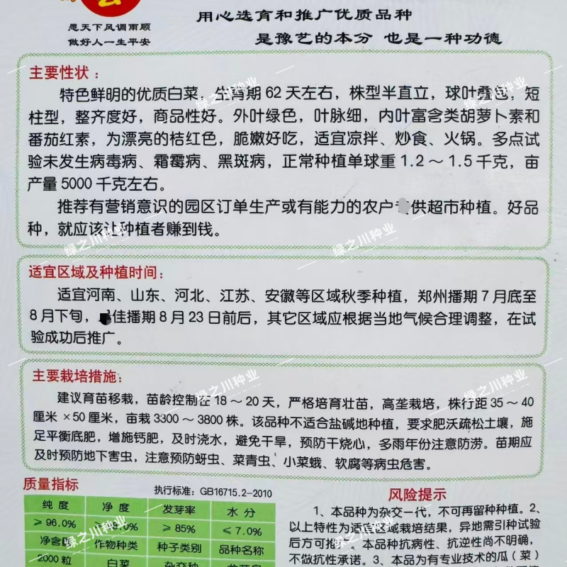 豫艺龙芽皇白菜种子优质礼品白菜种籽内叶桔红大白菜种子秋季