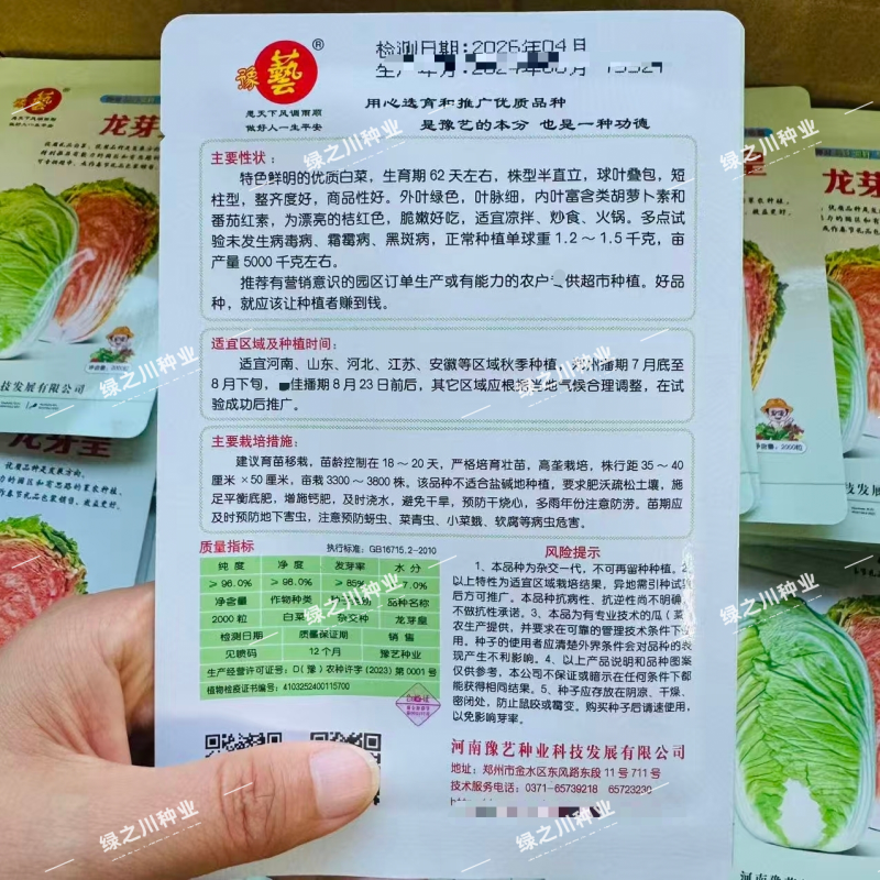 豫艺龙芽皇白菜种子优质礼品白菜种籽内叶桔红大白菜种子秋季