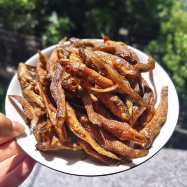 黄鱼干烟熏烘干有盐肉多刺少轻油干鱼仔小鱼干