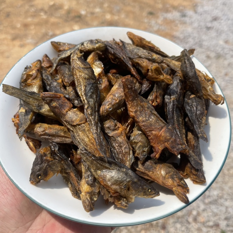 老头鱼干小丑鱼干呆子鱼烟熏烘干微咸轻微烟味