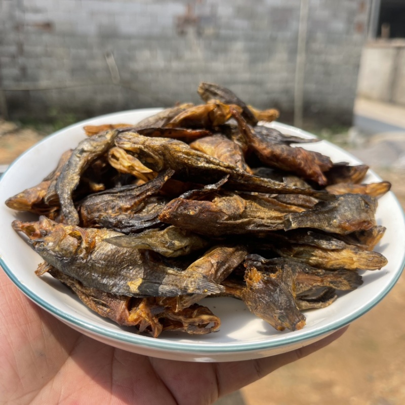 老头鱼干小丑鱼干呆子鱼烟熏烘干微咸轻微烟味