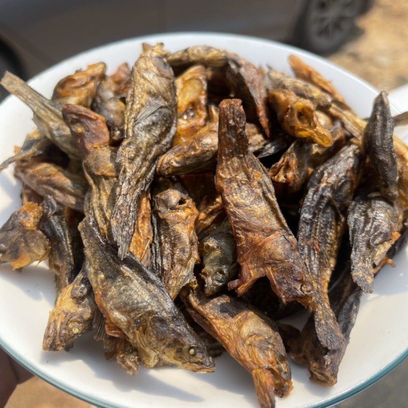 老头鱼干小丑鱼干呆子鱼烟熏烘干微咸轻微烟味