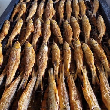 东江鱼红眼鱼干火焙烟熏烘干去肚微咸肉多刺少