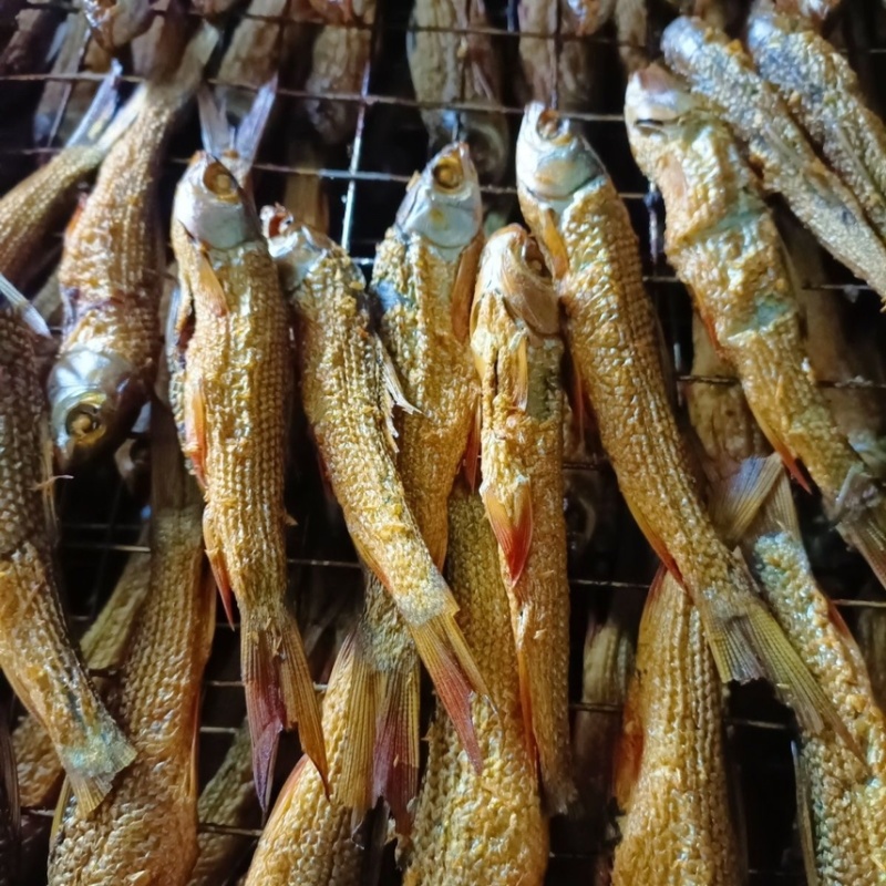 东江鱼红眼鱼干火焙烟熏烘干去肚微咸肉多刺少
