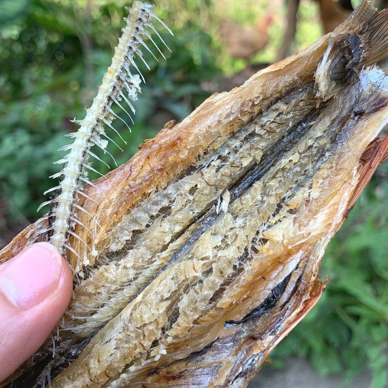 东江鱼红眼鱼干火焙烟熏烘干去肚微咸肉多刺少