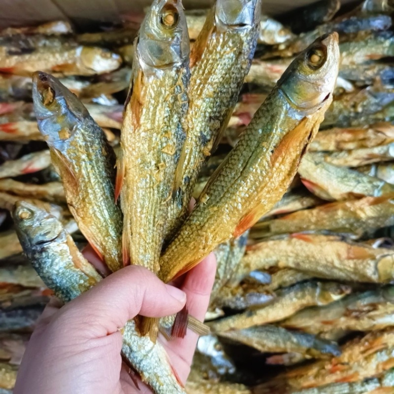 东江鱼红眼鱼干火焙烟熏烘干去肚微咸肉多刺少