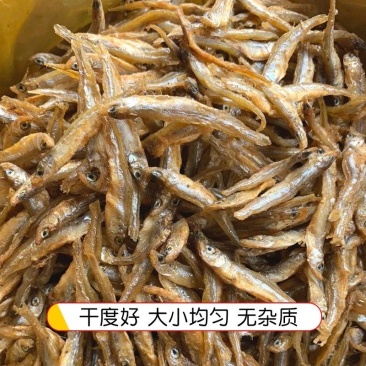小公鱼干毛毛鱼干无沙不苦