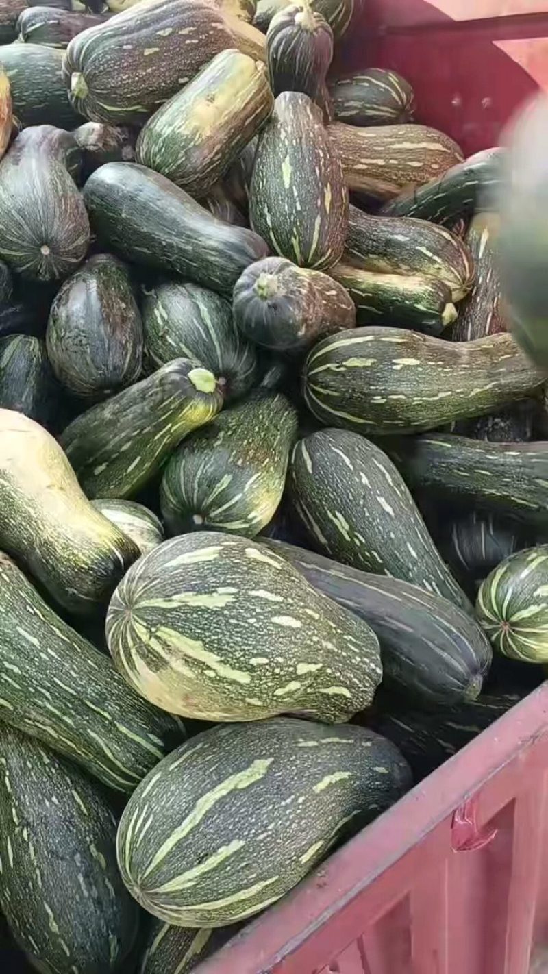 青南瓜大量有货，质量好，可供加工厂油炸，切块，