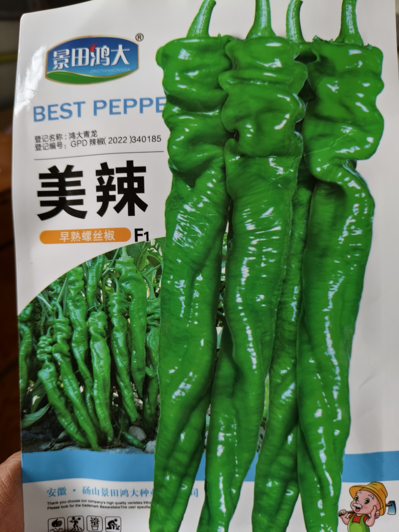 辣椒苗，薄皮椒苗，线椒苗螺丝椒苗邹皮椒苗
