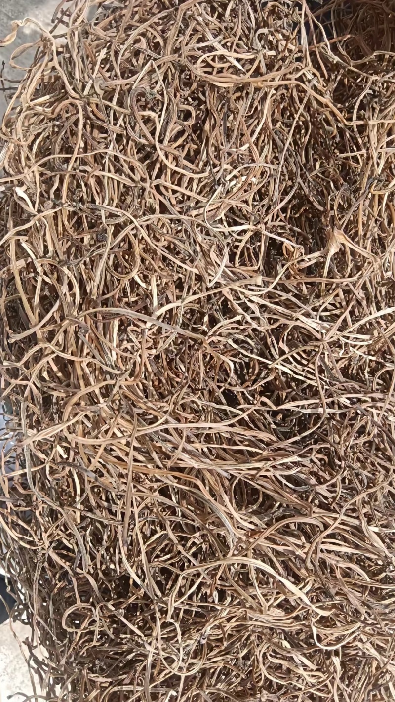 红薯梗
