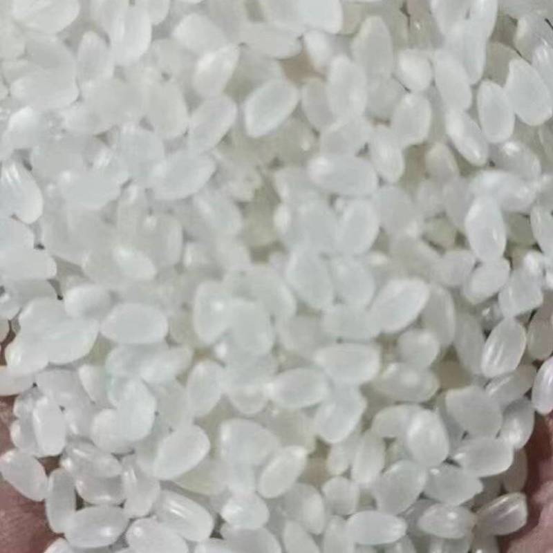 珍珠米