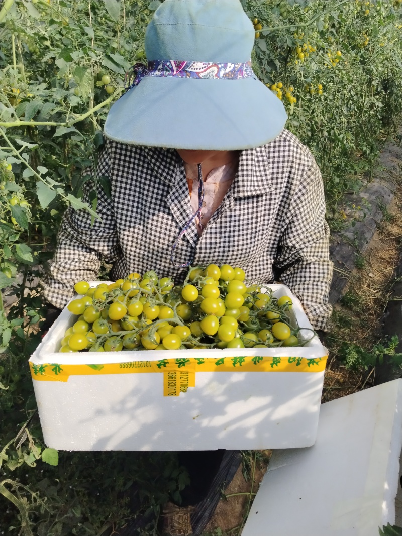 青串精品