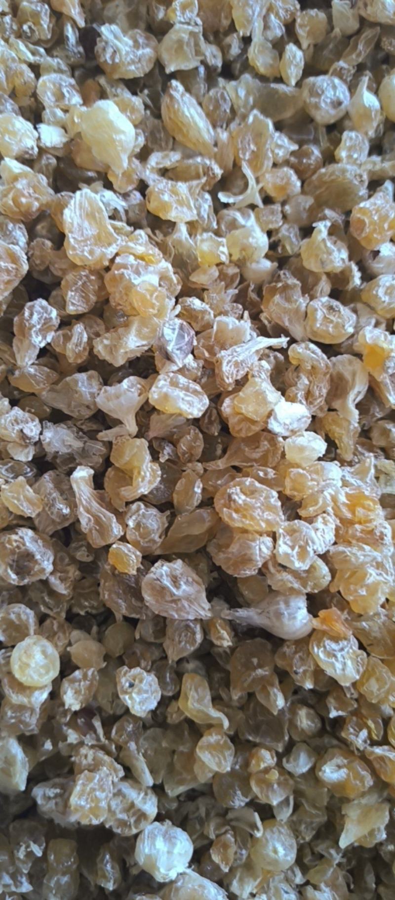 薤白春雨药材批发各种规格中药材质量保证量大从优