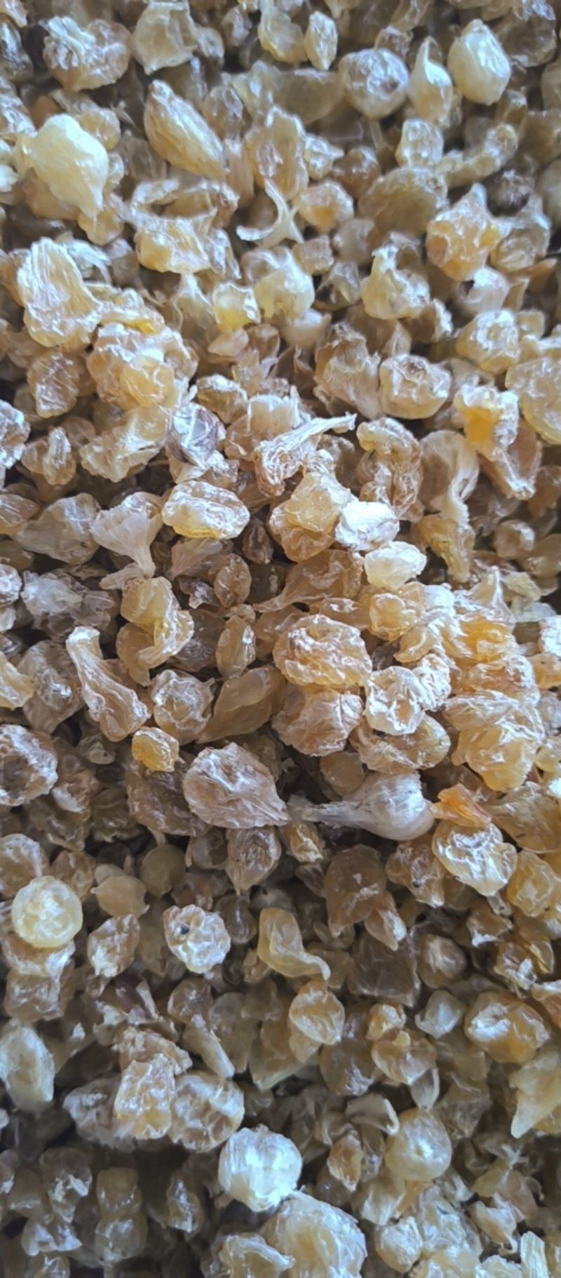 薤白春雨药材批发各种规格中药材质量保证量大从优