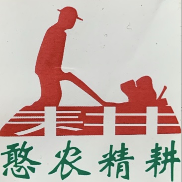 玉竹种茎（和平猪屎尾）
