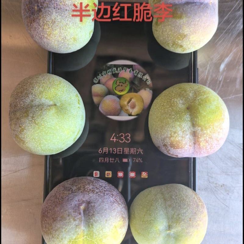 半边红脆李