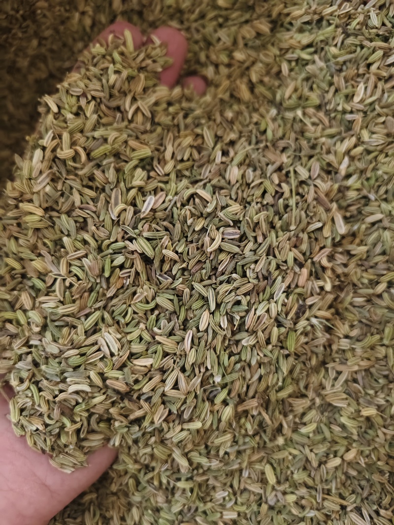 小茴香各种小茴香批发零售