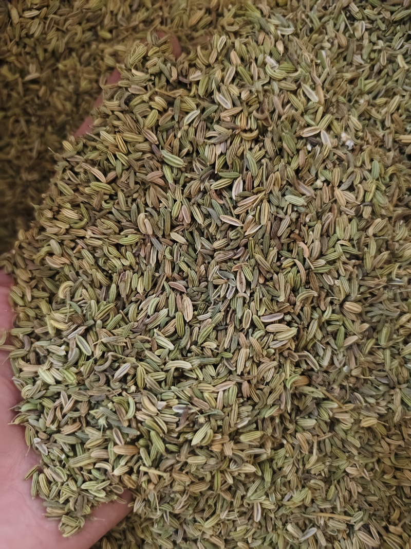 小茴香各种小茴香批发零售