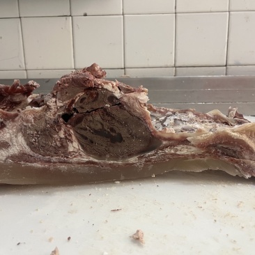 【熟牛头肉】精修牛头肉去淋巴干净立整