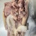【熟牛头肉】精修牛头肉去淋巴干净立整