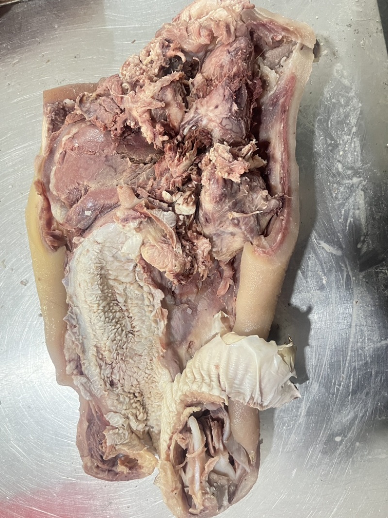 【熟牛头肉】精修牛头肉去淋巴干净立整