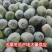 【精品】河南冬瓜水果冬瓜基地特惠直供保质保量全国发货