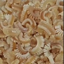 牛鞭花