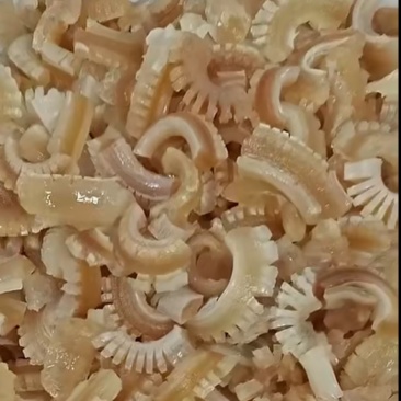 牛鞭花