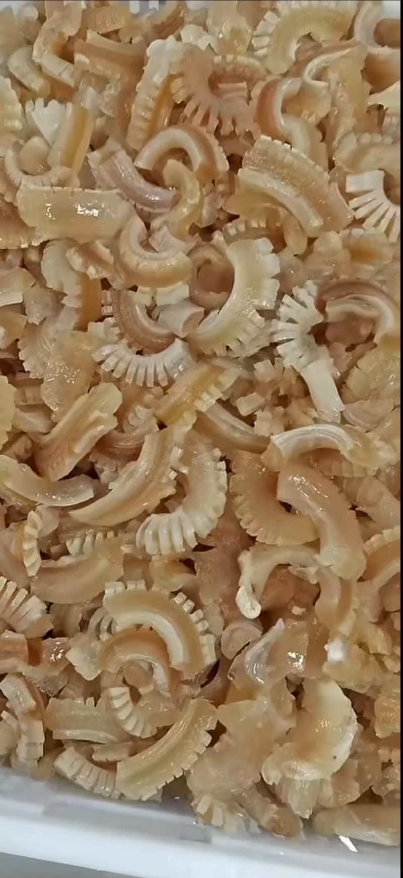 牛鞭花