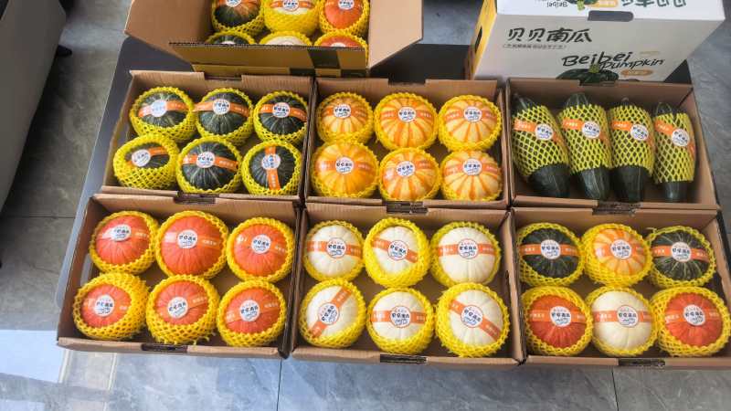 贝贝南瓜礼盒，专做商超，精品贝贝，社区团购礼盒专业一件代
