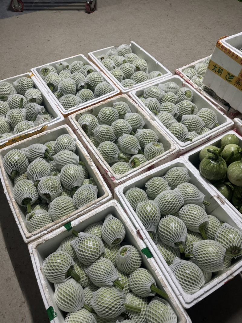 湖北利川精品嫩南瓜，小南瓜吊南瓜有质有量欢迎各位老板咨询