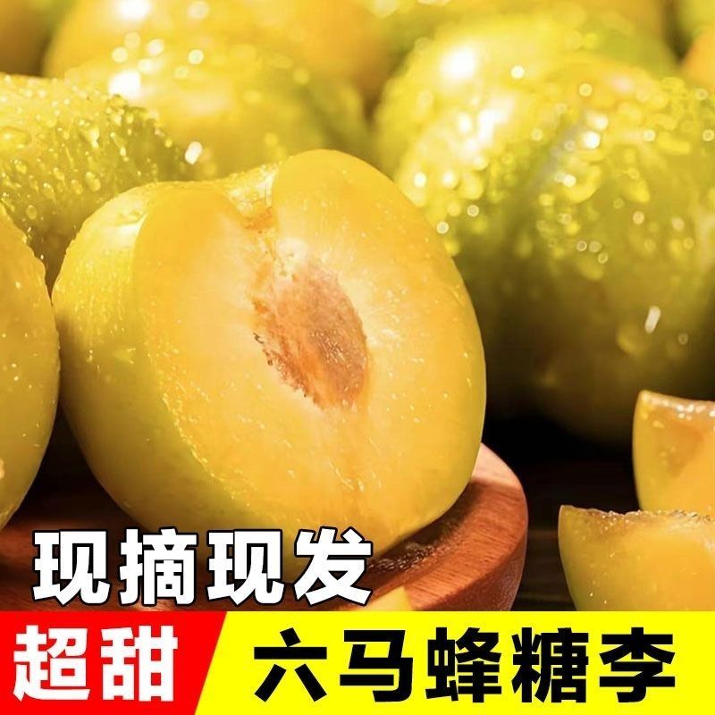 正宗贵州安顺六马蜂糖李。如假包换。坏果包赔
